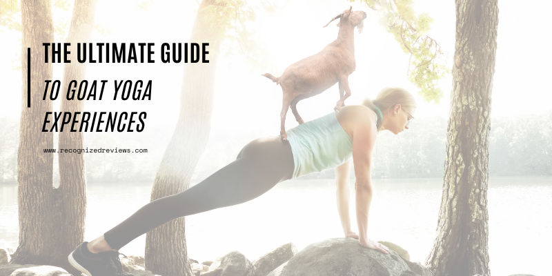 The Ultimate Guide to Goat Yoga Experiences