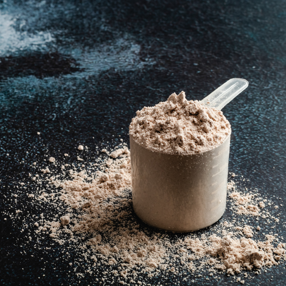 The Best Lactose Free Protein Powder