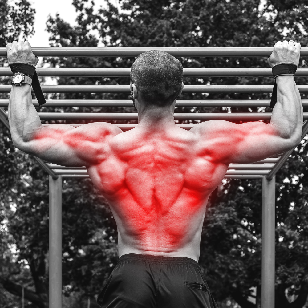 Calisthenics Back Workout: Strengthen Your Upper Body Naturally